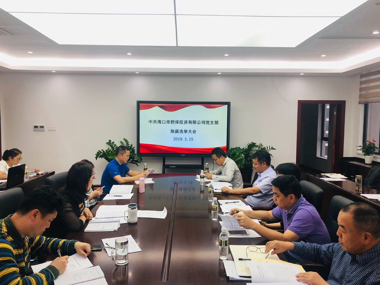 市金控公司召開2018年度黨支部書記述職評(píng)議大會(huì)暨黨支部換屆選舉黨員大會(huì)