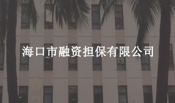 ?？谑腥谫Y擔保有限公司